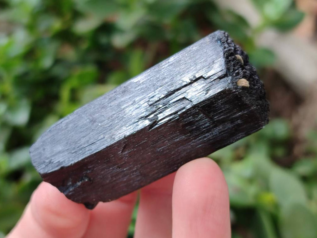 Natural Schorl Black Tourmaline With Associated Minerals x 6 From Erongo, Namibia - Toprock Gemstones and Minerals 