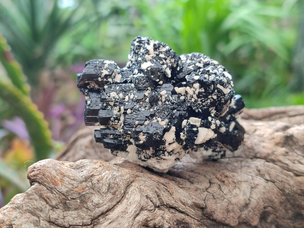 Natural Schorl Black Tourmaline With Associated Minerals x 6 From Erongo, Namibia - Toprock Gemstones and Minerals 