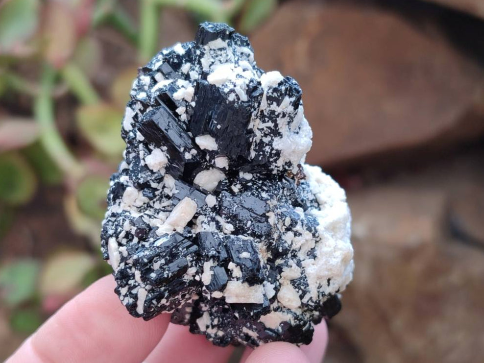 Natural Schorl Black Tourmaline With Associated Minerals x 6 From Erongo, Namibia - Toprock Gemstones and Minerals 