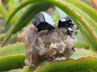Natural Schorl Black Tourmaline With Associated Minerals x 6 From Erongo, Namibia