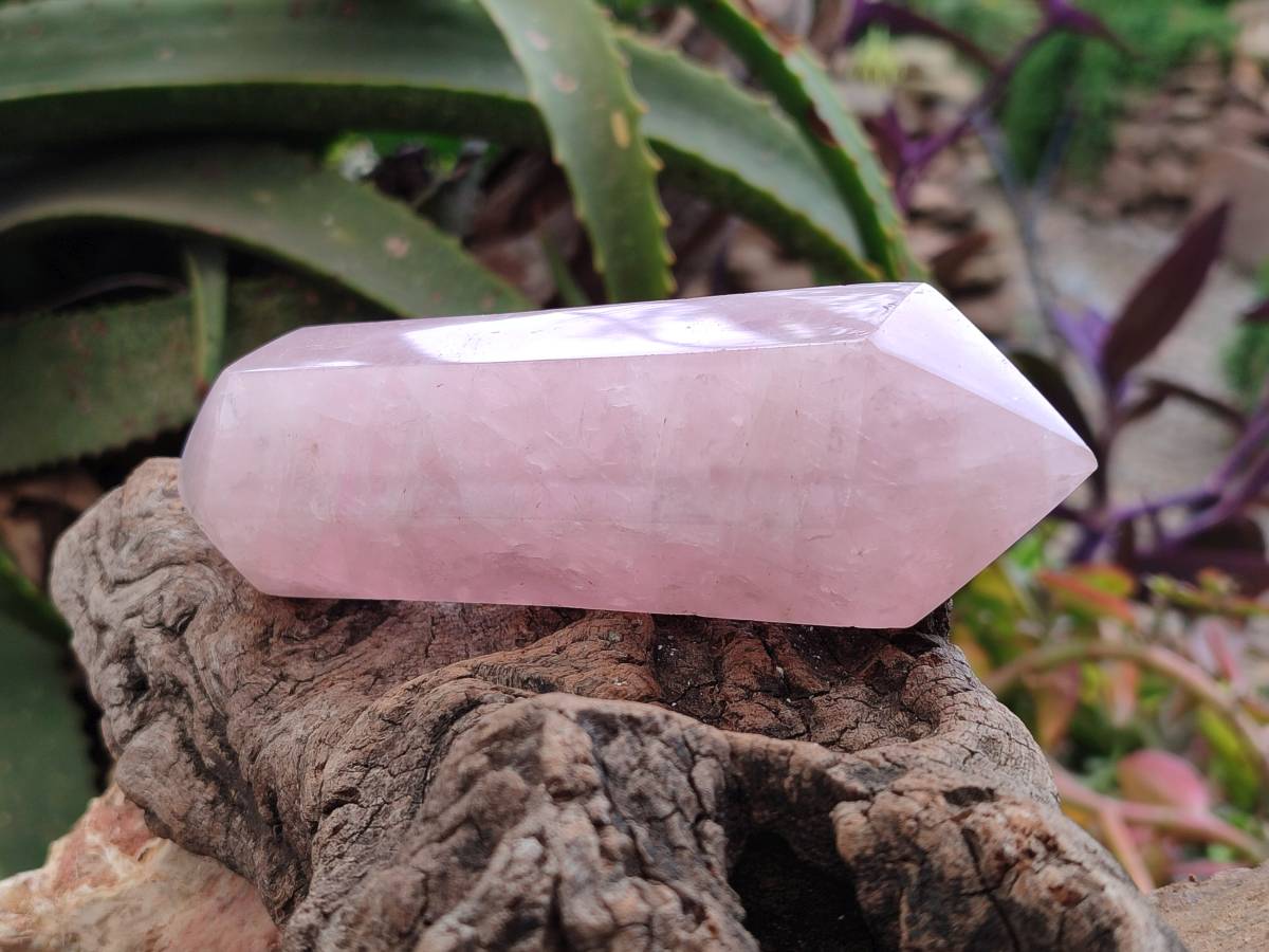 Polished Double Terminated Rose Quartz Crystals x 6 From Madagascar - Toprock Gemstones and Minerals 