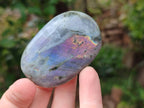 Polished Purple Flash Labradorite Galets x 12 From Tulear, Madagascar - Toprock Gemstones and Minerals 