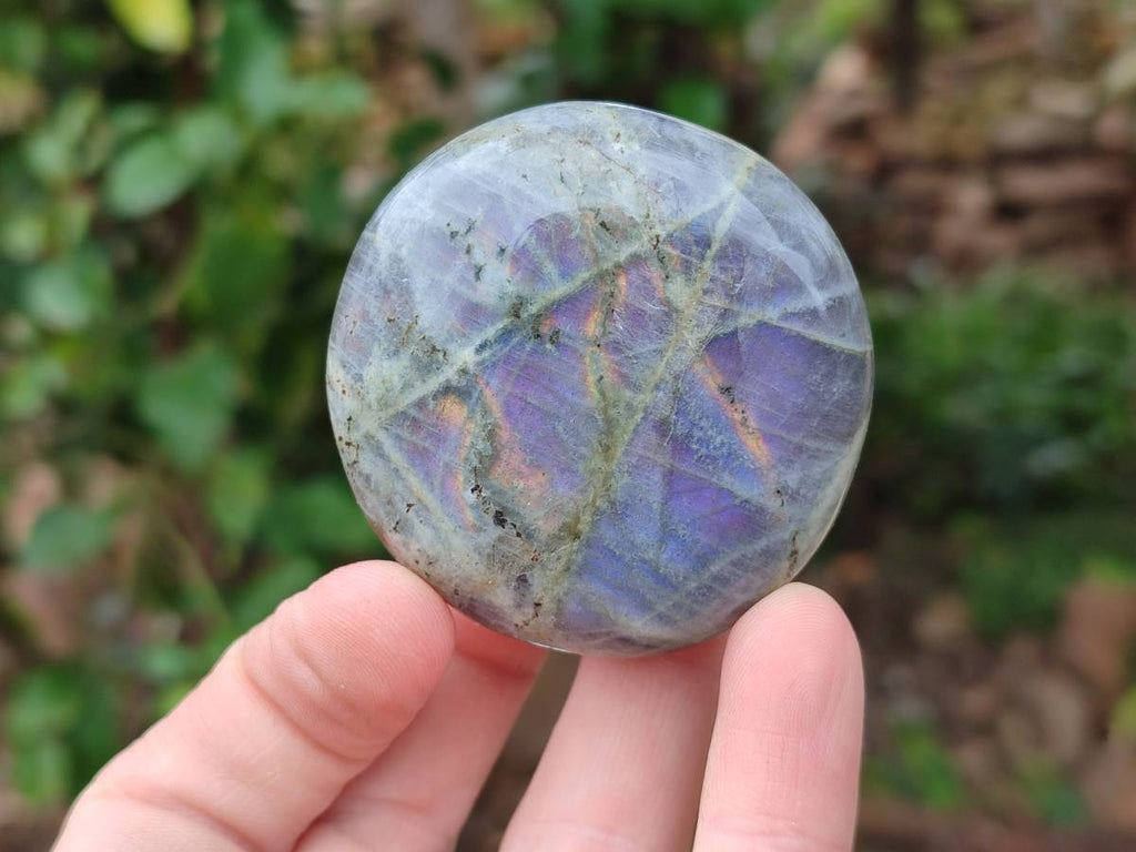 Polished Purple Flash Labradorite Galets x 12 From Tulear, Madagascar - Toprock Gemstones and Minerals 