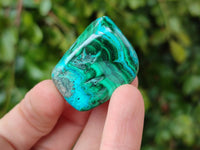 Polished Malacolla Free Forms x 46 From Kulukuluku, Congo