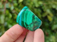 Polished Malacolla Free Forms x 46 From Kulukuluku, Congo