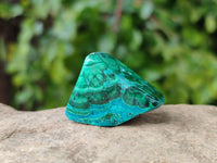 Polished Malacolla Free Forms x 46 From Kulukuluku, Congo