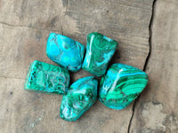 Polished Malacolla Free Forms x 46 From Kulukuluku, Congo
