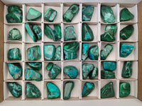 Polished Malacolla Free Forms x 46 From Kulukuluku, Congo