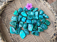 Polished Malacolla Free Forms x 46 From Kulukuluku, Congo