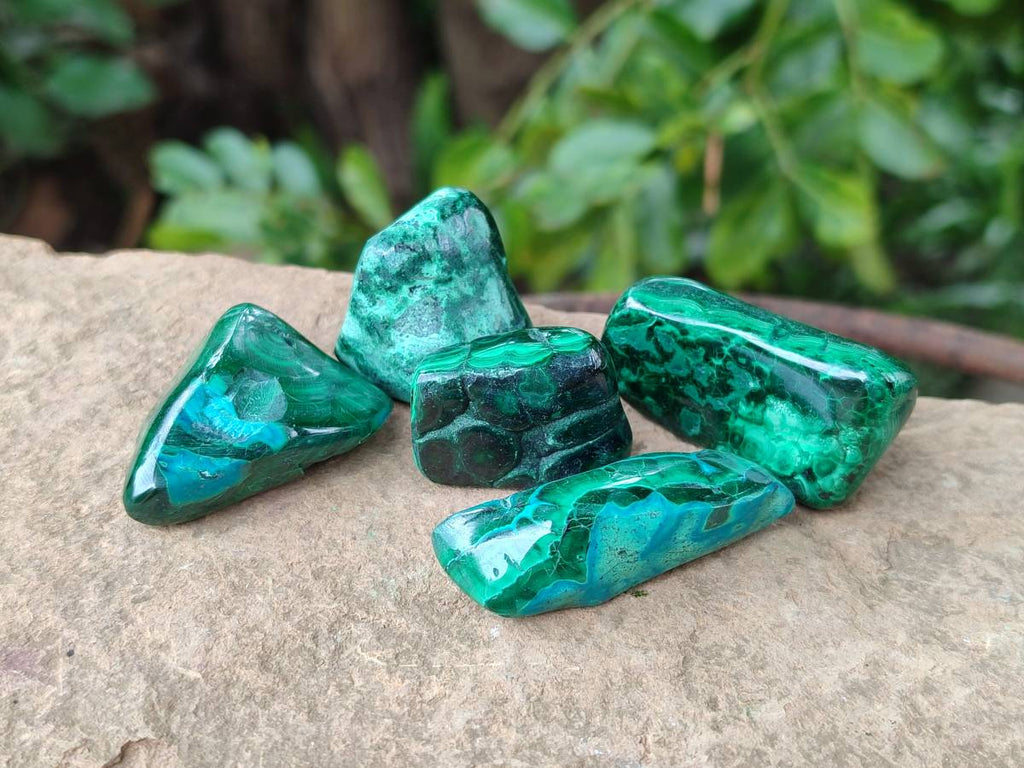 Polished Malacolla Free Forms x 46 From Kulukuluku, Congo - Toprock Gemstones and Minerals 