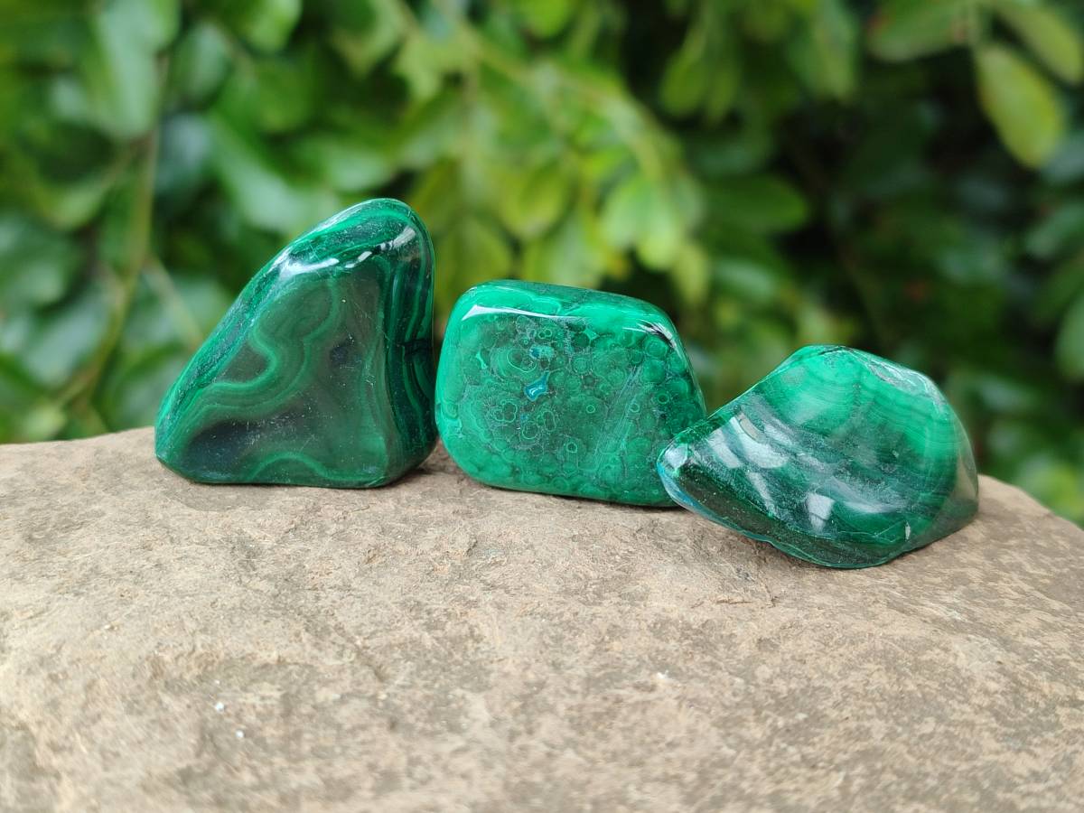 Polished Malacolla Free Forms x 46 From Kulukuluku, Congo - Toprock Gemstones and Minerals 