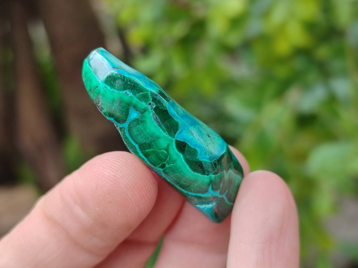 Polished Malacolla Free Forms x 46 From Kulukuluku, Congo - Toprock Gemstones and Minerals 