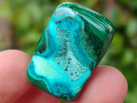 Polished Malacolla Free Forms x 46 From Kulukuluku, Congo