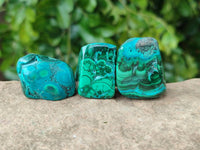 Polished Malacolla Free Forms x 46 From Kulukuluku, Congo