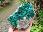Natural Dioptase with Malachite On Dolomite Specimen x 1 From Likasi, Congo - Toprock Gemstones and Minerals 