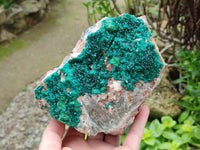 Natural Dioptase with Malachite On Dolomite Specimen x 1 From Likasi, Congo