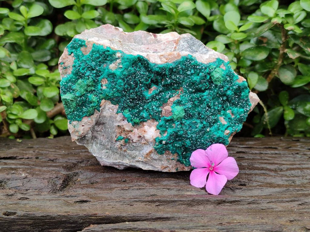 Natural Dioptase with Malachite On Dolomite Specimen x 1 From Likasi, Congo - Toprock Gemstones and Minerals 