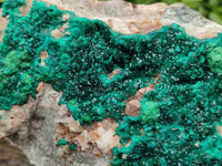 Natural Dioptase with Malachite On Dolomite Specimen x 1 From Likasi, Congo