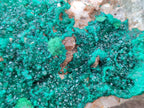 Natural Dioptase with Malachite On Dolomite Specimen x 1 From Likasi, Congo - Toprock Gemstones and Minerals 