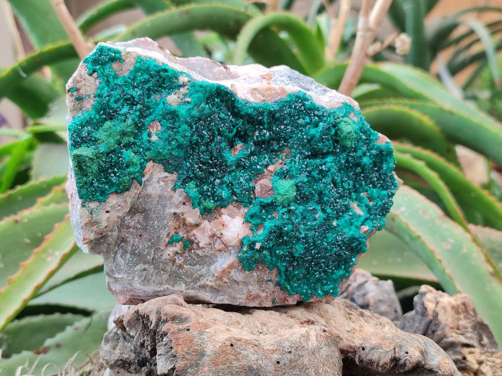 Natural Dioptase with Malachite On Dolomite Specimen x 1 From Likasi, Congo - Toprock Gemstones and Minerals 