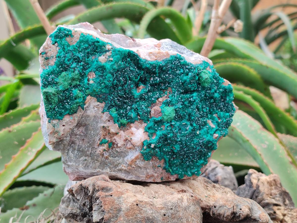Natural Dioptase with Malachite On Dolomite Specimen x 1 From Likasi, Congo - Toprock Gemstones and Minerals 