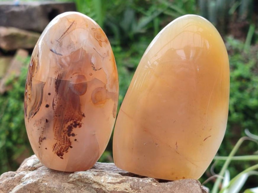 Polished Banded Agate Standing Free Forms x 6 From Madagascar - Toprock Gemstones and Minerals 