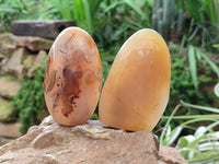 Polished Banded Agate Standing Free Forms x 6 From Madagascar