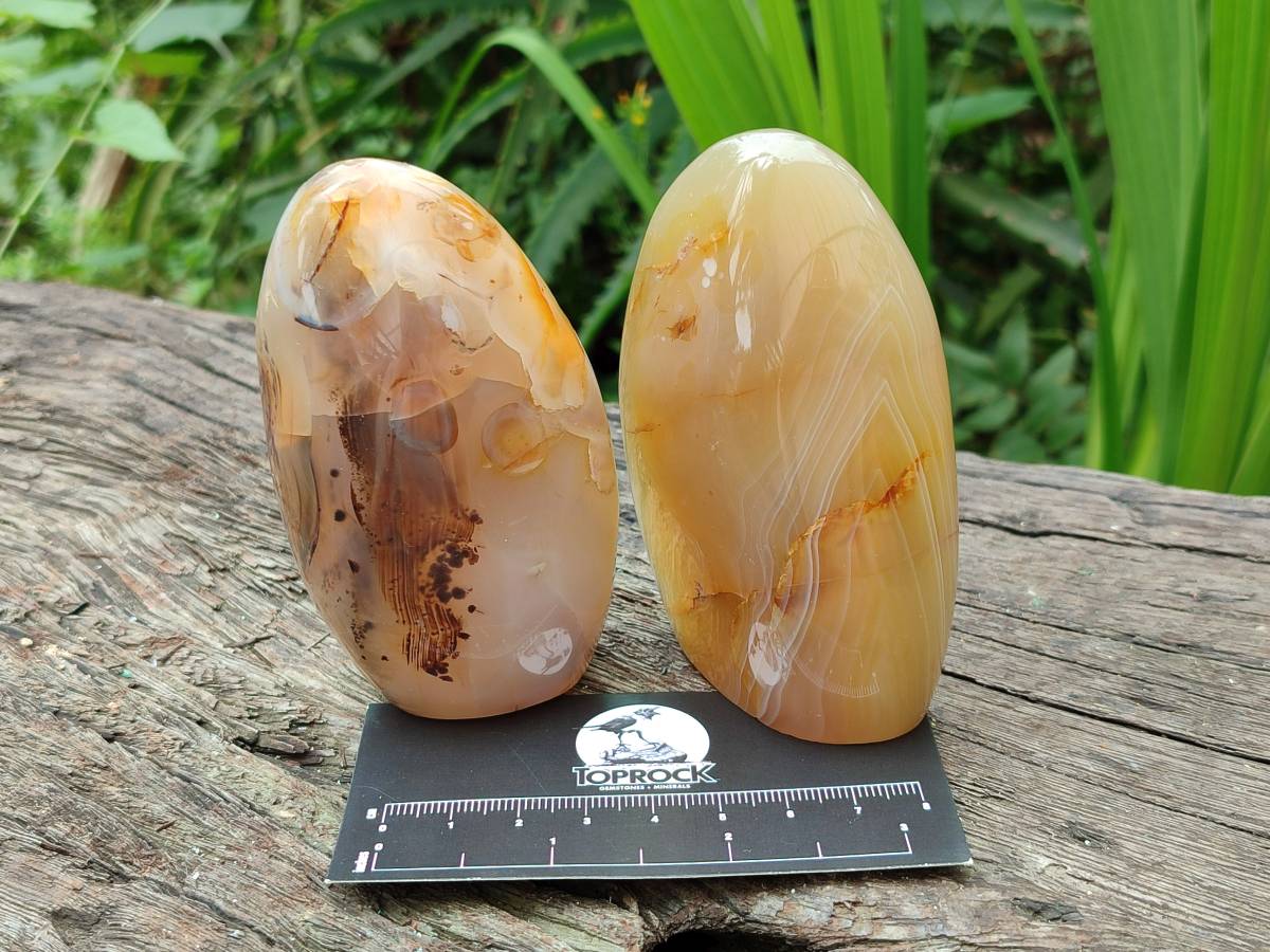 Polished Banded Agate Standing Free Forms x 6 From Madagascar - Toprock Gemstones and Minerals 
