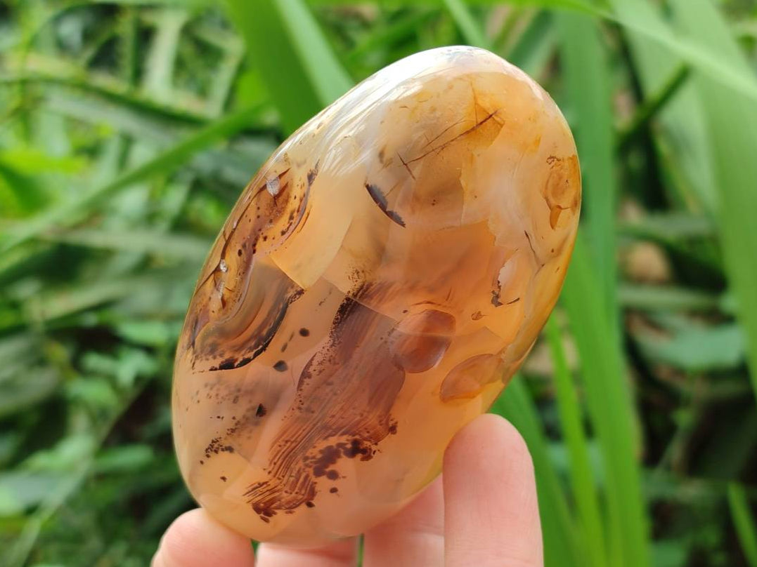 Polished Banded Agate Standing Free Forms x 6 From Madagascar - Toprock Gemstones and Minerals 