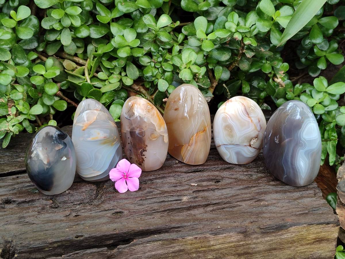 Polished Banded Agate Standing Free Forms x 6 From Madagascar - Toprock Gemstones and Minerals 