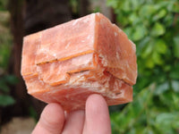 Natural Sunset Orange Calcite Specimens x 12 From Spitzkop, Namibia