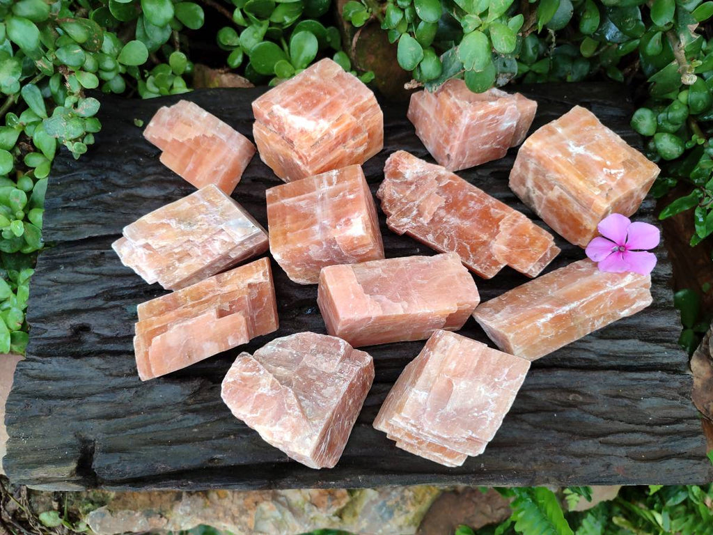 Natural Sunset Orange Calcite Specimens x 12 From Spitzkop, Namibia - Toprock Gemstones and Minerals 