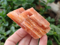 Natural Sunset Orange Calcite Specimens x 12 From Spitzkop, Namibia