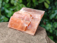 Natural Sunset Orange Calcite Specimens x 12 From Spitzkop, Namibia