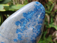 Polished Blue Spotted Spinel in Quartz Standing Free Forms x 2 From Madagascar