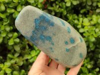 Polished Blue Spotted Spinel in Quartz Standing Free Forms x 2 From Madagascar