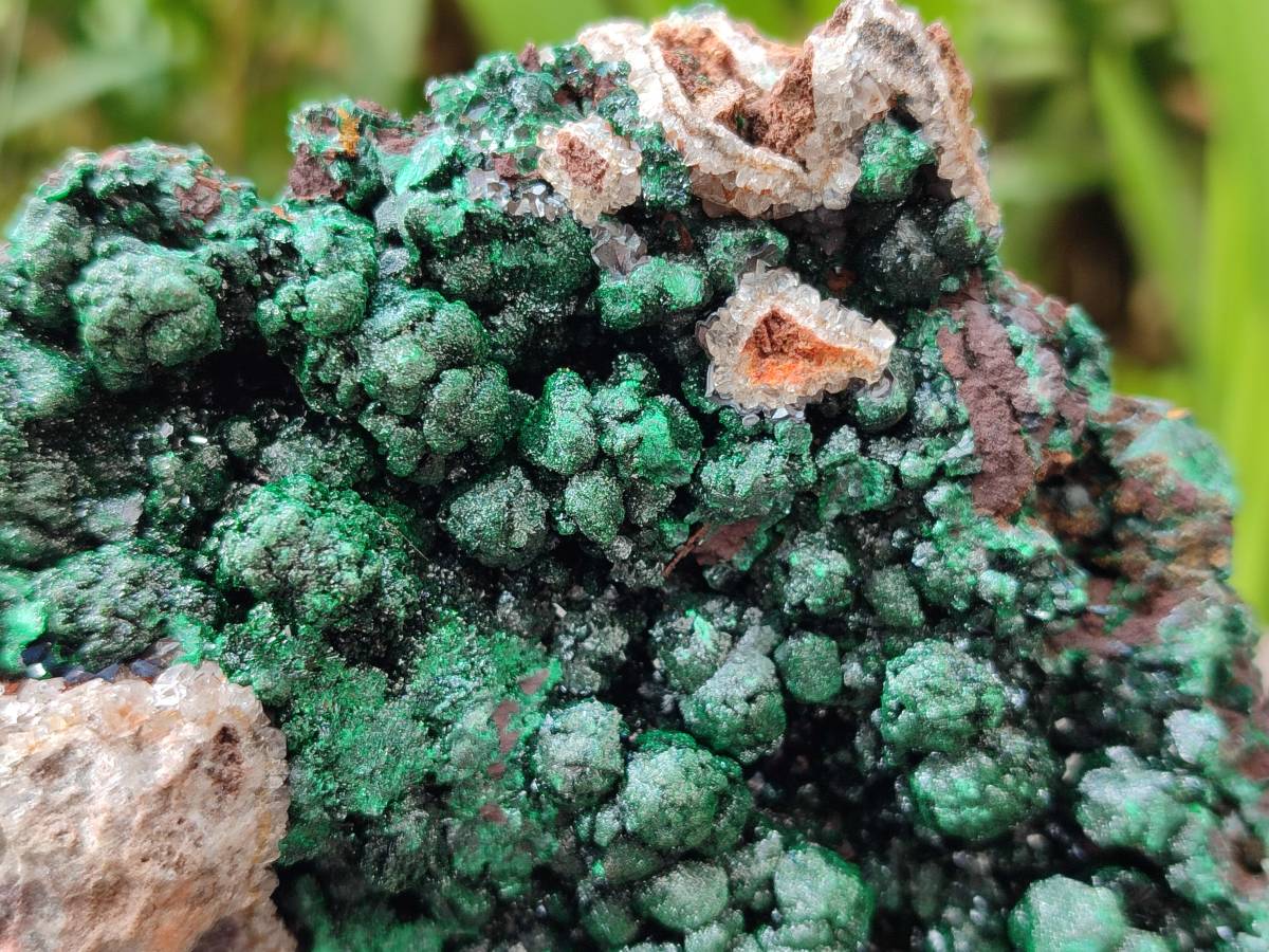 Natural Silky Ball Malachite On Dolomite Specimen x 1 From Mindingi Mine, Kambove, Congo - Toprock Gemstones and Minerals 