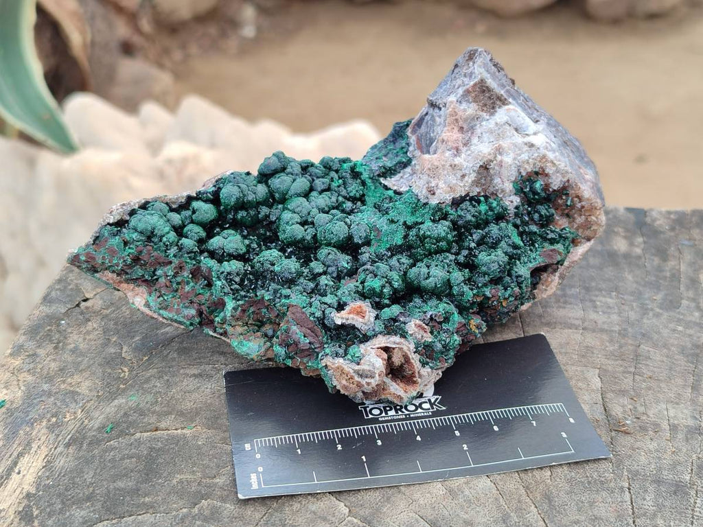 Natural Silky Ball Malachite On Dolomite Specimen x 1 From Mindingi Mine, Kambove, Congo - Toprock Gemstones and Minerals 