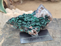 Natural Silky Ball Malachite On Dolomite Specimen x 1 From Mindingi Mine, Kambove, Congo