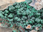 Natural Silky Ball Malachite On Dolomite Specimen x 1 From Mindingi Mine, Kambove, Congo - Toprock Gemstones and Minerals 