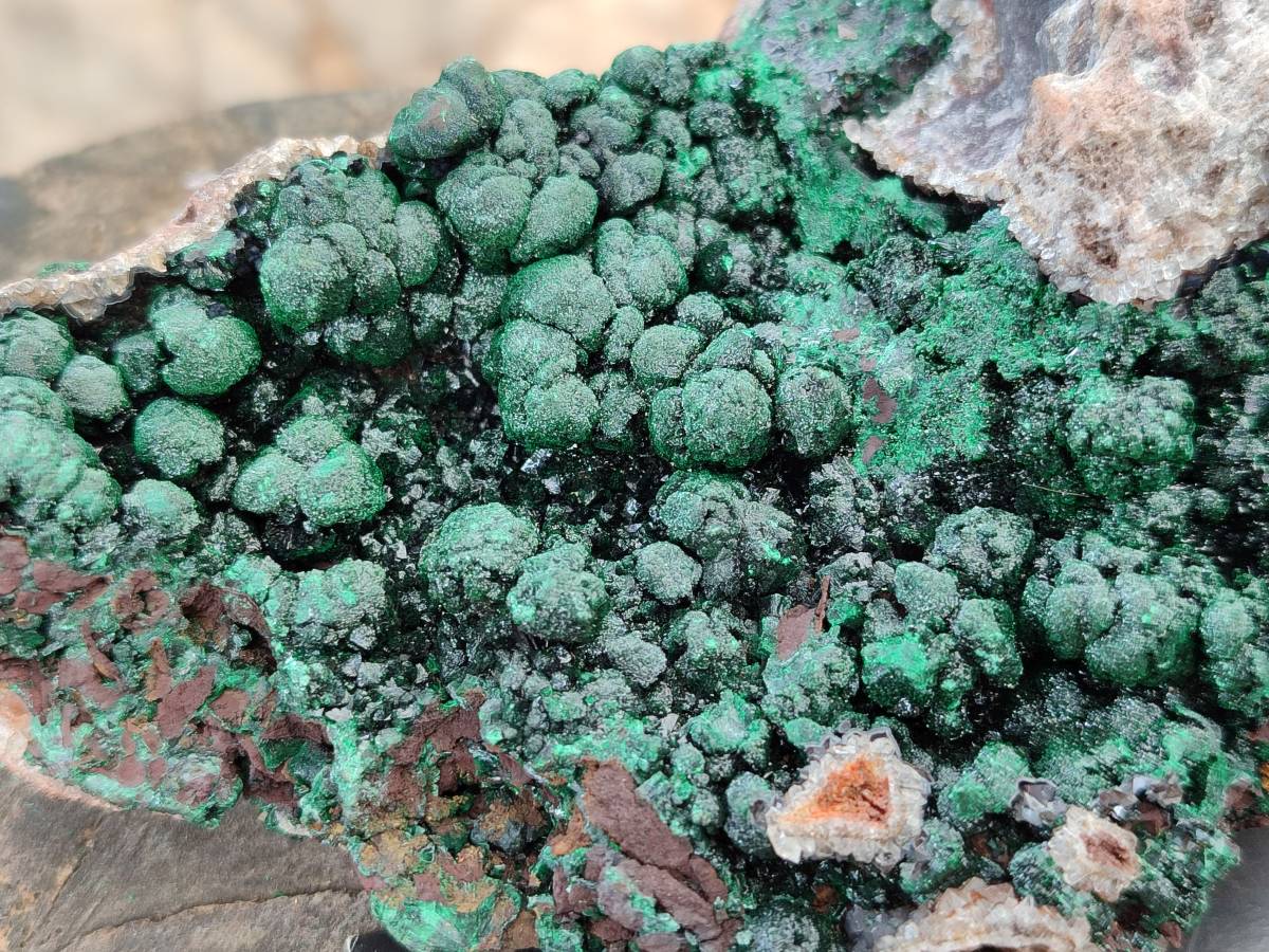Natural Silky Ball Malachite On Dolomite Specimen x 1 From Mindingi Mine, Kambove, Congo - Toprock Gemstones and Minerals 