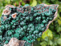 Natural Silky Ball Malachite On Dolomite Specimen x 1 From Mindingi Mine, Kambove, Congo