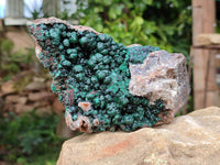 Natural Silky Ball Malachite On Dolomite Specimen x 1 From Mindingi Mine, Kambove, Congo