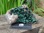 Natural Silky Ball Malachite On Dolomite Specimen x 1 From Mindingi Mine, Kambove, Congo - Toprock Gemstones and Minerals 