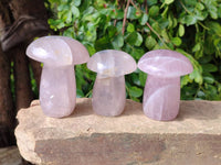 Polished Rose Quartz Mushrooms x 6 From Madagascar