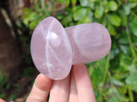 Polished Rose Quartz Mushrooms x 6 From Madagascar