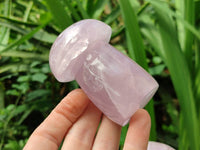 Polished Rose Quartz Mushrooms x 6 From Madagascar