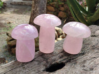 Polished Rose Quartz Mushrooms x 6 From Madagascar