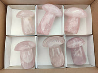 Polished Rose Quartz Mushrooms x 6 From Madagascar