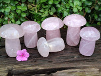 Polished Rose Quartz Mushrooms x 6 From Madagascar
